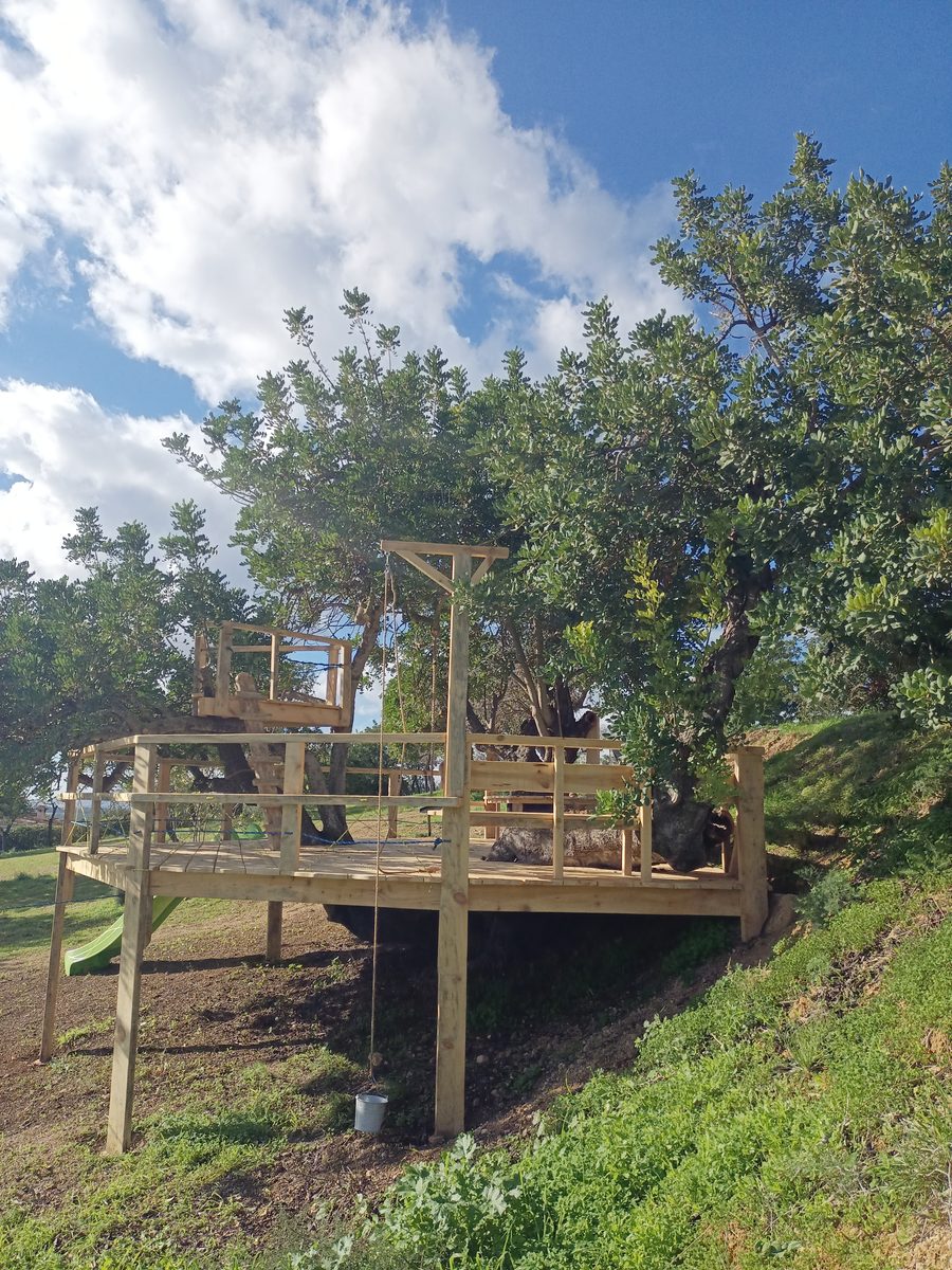 Plataforma elevada entre árboles con cielo azul