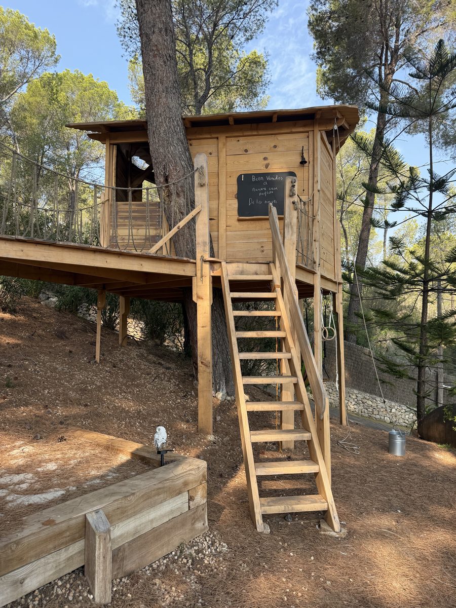 Casa de árbol con cabaña y escalera en bosque de pinos
